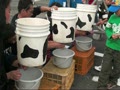 日本一の乳搾り競争