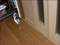 レーザー光線