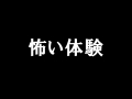 森の中で、秘密基地を作りに行ったら『大変なこと』になった。。。